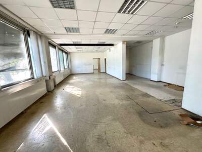 Gewerbeobjekt mieten in 8055 Graz (Bild 3)