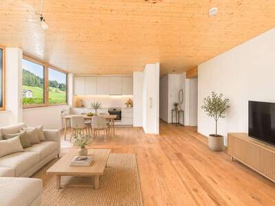 Wohnung kaufen in 6952 Hittisau