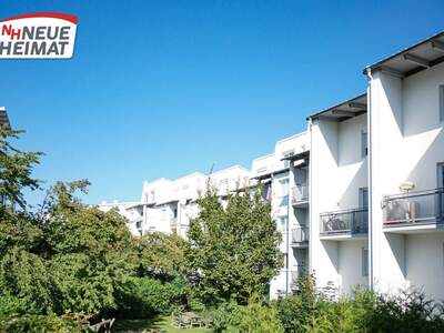 Wohnung mieten in 4600 Wels