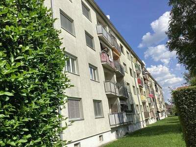 Wohnung mieten in 8160 Weiz