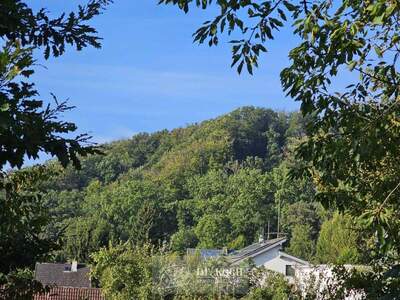 Grundstück kaufen in 1190 Wien