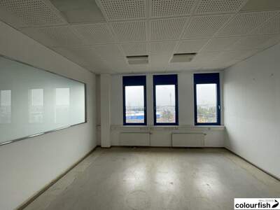 Gewerbeobjekt mieten in 1230 Wien (Bild 4)