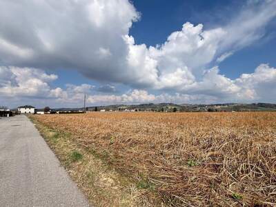 Grundstück kaufen in 4782 Sankt Florian