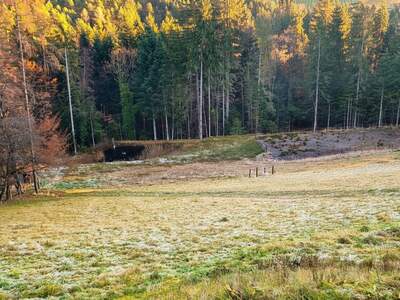 Gewerbeobjekt kaufen in 8510 Stainz (Bild 2)