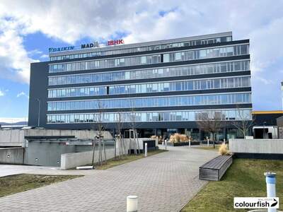 Gewerbeobjekt mieten in 1230 Wien