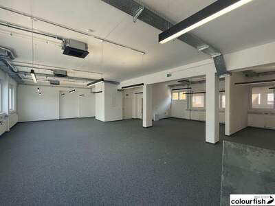 Gewerbeobjekt mieten in 1100 Wien (Bild 4)