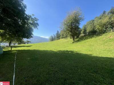 Grundstück kaufen in 8712 Proleb (Bild 1)