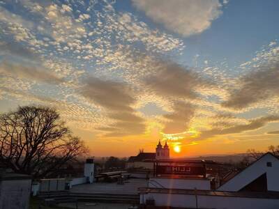 Gewerbeobjekt kaufen in 7092 Winden