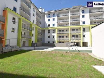 Terrassenwohnung mieten in 2320 Schwechat (Bild 3)
