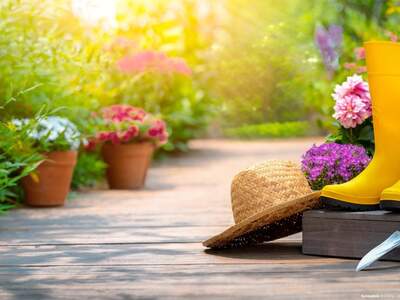 Anlageobjekt kaufen in 8010 Graz