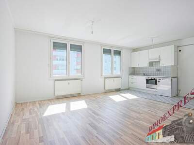Wohnung kaufen in 1220 Wien (Bild 3)