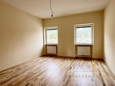 Gewerbeobjekt mieten in 2331 Vösendorf (Bild 3)