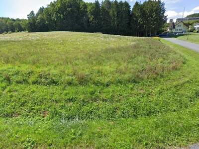 Grundstück kaufen in 7400 Oberwart