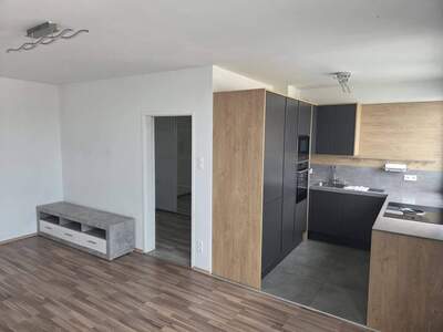 Wohnung provisionsfrei mieten in 1170 Wien