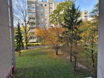 Wohnung provisionsfrei kaufen in 2351 Wiener Neudorf