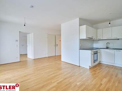Apartment provisionsfrei mieten in 1100 Wien