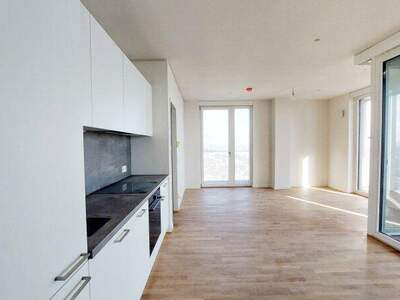 Terrassenwohnung mieten in 1220 Wien (Bild 5)