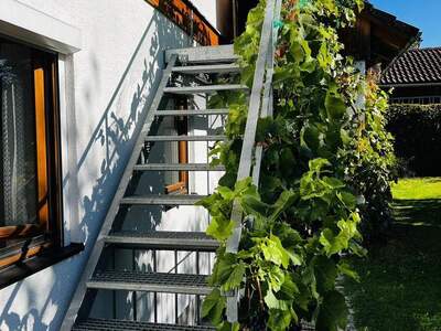 Einfamilienhaus kaufen in 4150 Rohrbach (Bild 3)