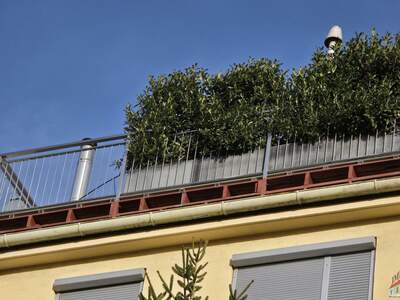 Terrassenwohnung kaufen in 1120 Wien (Bild 3)