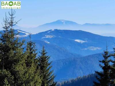 Grundstück kaufen in 9571 Hochrindl