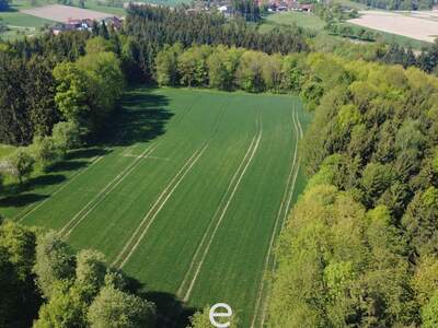 Gewerbeobjekt kaufen in 4076 St. Marienkirchen (Bild 2)