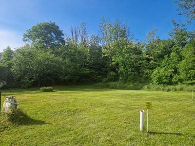 Grundstück kaufen in 2011 Sierndorf