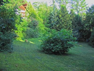 Einfamilienhaus kaufen in 2534 Alland (Bild 4)