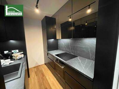 Terrassenwohnung mieten in 1220 Wien (Bild 4)