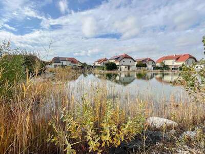 Haus kaufen in 2435 Ebergassing