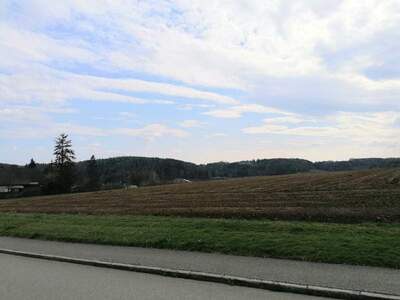 Grundstück kaufen in 8261 Sinabelkirchen (Bild 2)