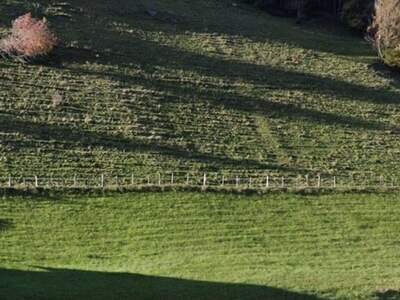 Grundstück kaufen in 9565 Ebene Reichenau (Bild 3)