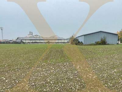 Gewerbegrundstück kaufen in 4052 Ansfelden