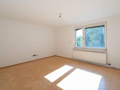 Wohnung kaufen in 4063 Hörsching