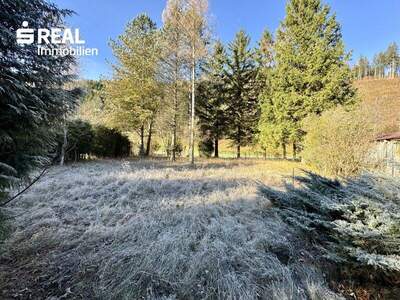 Grundstück kaufen in 3172 Ramsau (Bild 1)