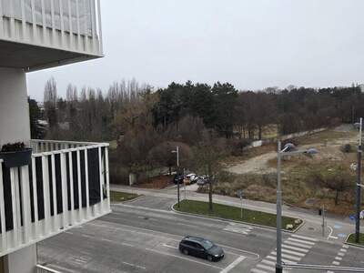 Mietwohnung in 1230 Wien (Bild 5)