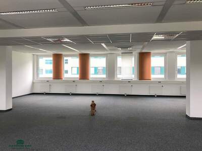 Gewerbeobjekt mieten in 5020 Salzburg (Bild 1)