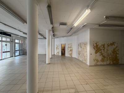 Gewerbeobjekt mieten in 1200 Wien (Bild 5)