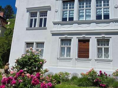 Haus mit Garten kaufen in 2500 Baden (Bild 3)