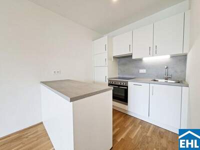 Terrassenwohnung mieten in 1120 Wien (Bild 3)