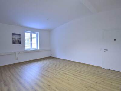 Gewerbeobjekt mieten in 4040 Linz (Bild 4)