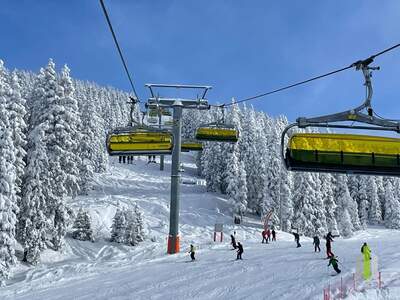 Mehrfamilienhaus kaufen in 8970 Schladming