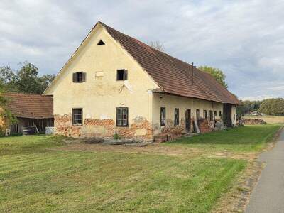 Bauernhaus kaufen in 8483 Deutsch Goritz (Bild 5)