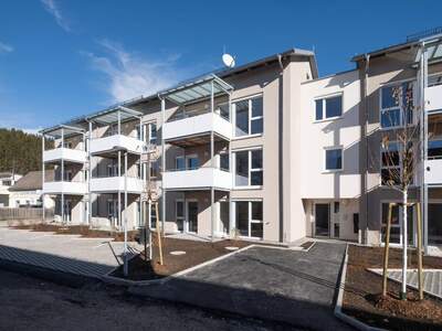 Wohnung mieten in 8665 Langenwang
