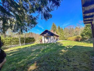 Haus kaufen in 8630 Halltal