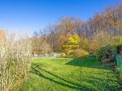 Grundstück kaufen in 2384 Breitenfurt (Bild 1)