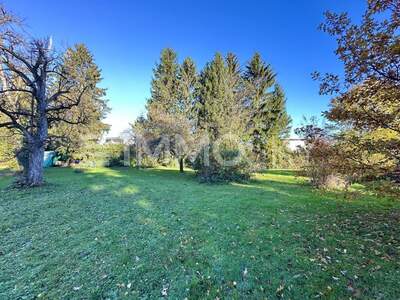 Grundstück kaufen in 6972 Fußach (Bild 2)