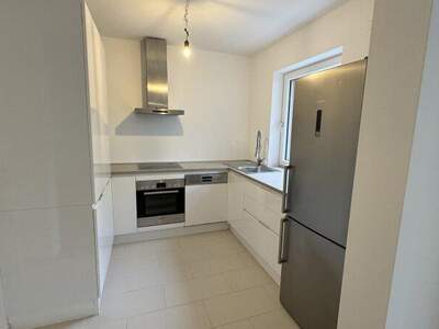 Terrassenwohnung kaufen in 2301 Groß (Bild 3)