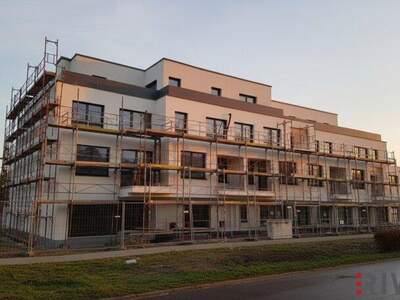 Terrassenwohnung kaufen in 1220 Wien (Bild 5)