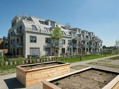 Immobilie mieten in 1220 Wien (Bild 1)