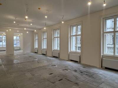 Gewerbeobjekt mieten in 1010 Wien